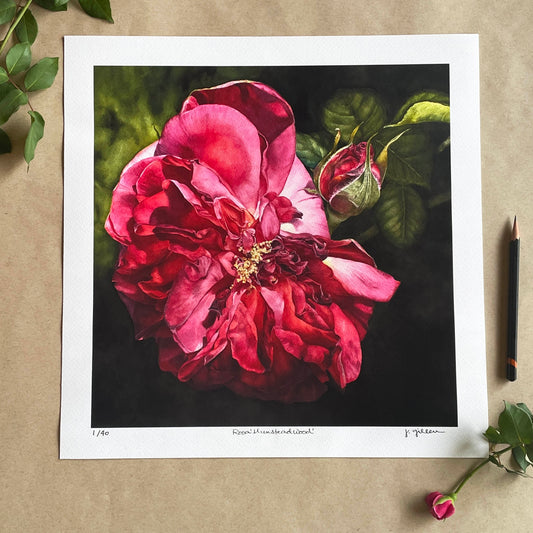 Fine Art Print